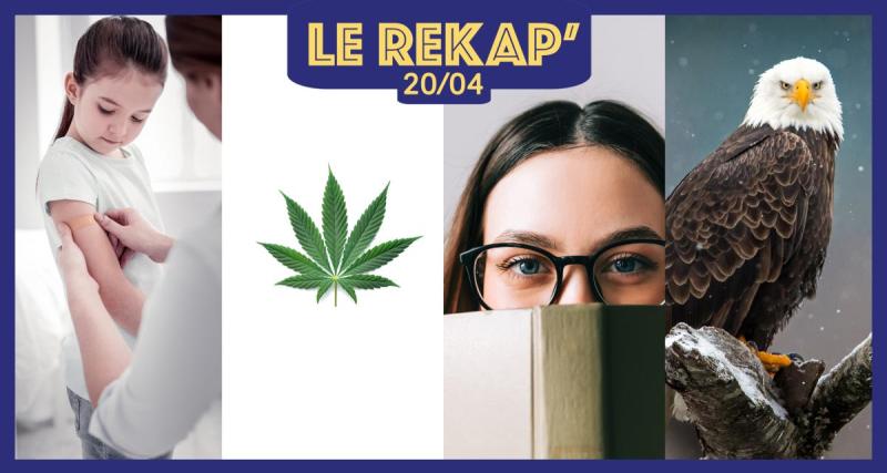  - Inquiétude autour des vaccins infantiles, la journée du joint, TikTok au festival du livre et une leçon de paternité par des oiseaux : le ReKap’ de Kool