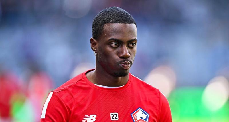  - LOSC, OM - Mercato : Tudor craque pour un Dogue !