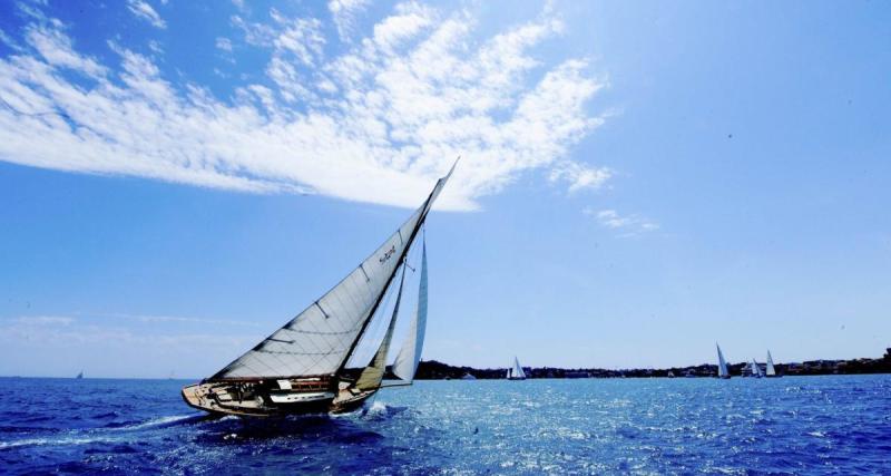  - Voile : un ancien skipper du Vendée Globe attaqué par ... des phoques, grosse frayeur au menu