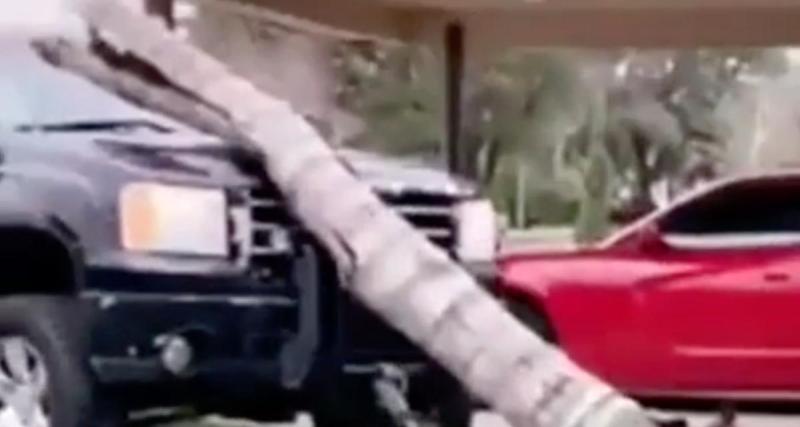  - VIDEO - Il veut arracher un arbre avec son pick-up, celui-ci finit sur le capot