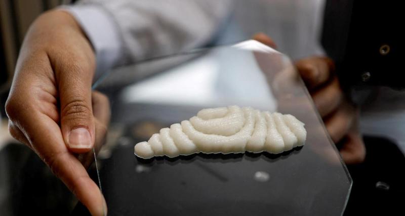  - Du poisson 100% comestible peut maintenant être imprimé en 3D