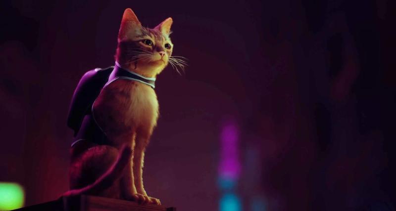  - Stray : le petit chat tout mignon s'apprête à sortir Xbox ?