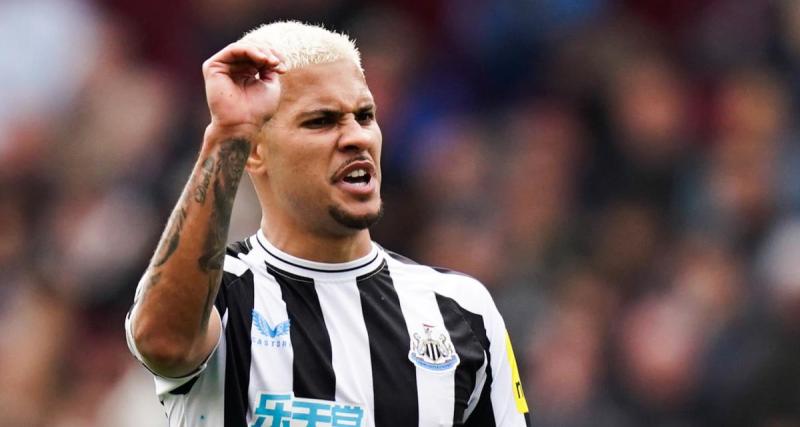  - Newcastle – Brighton : les Magpies écrasent les Seagulls et confortent leur place sur le podium