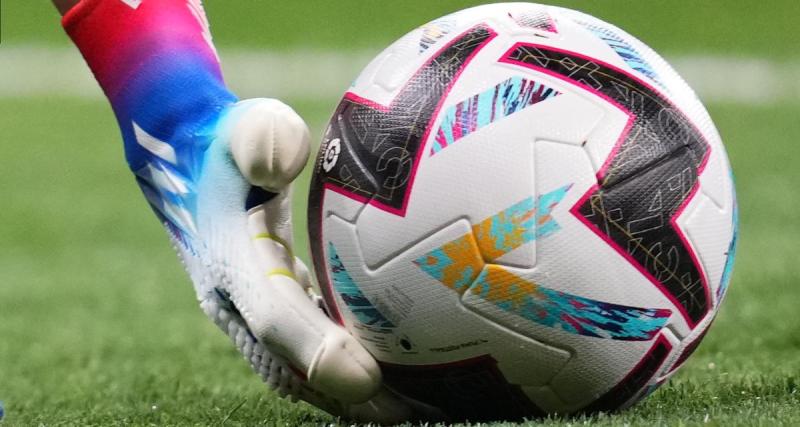  - N3 Grand-Est (J24) : résultats et classement