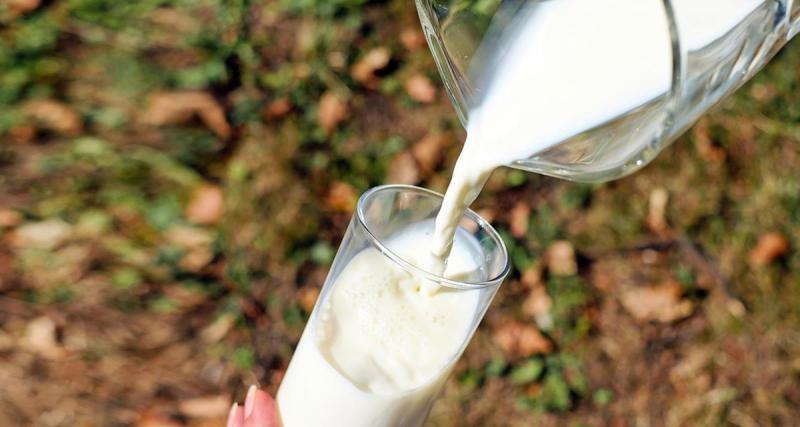  - Insolite : mettre du lait (ou presque) dans son moteur