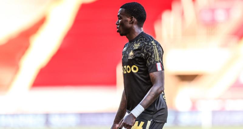  - LOSC - Mercato : après Milik, un Dogue comme deuxième recrue estivale de la Juventus ?