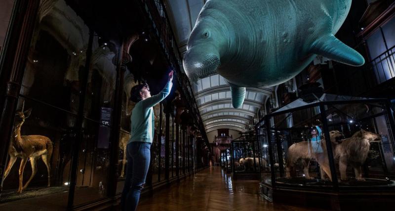  - Tigre à dents de sabre, oiseau-éléphant : les animaux disparus prennent vie au Musée Nationale d’Histoire Naturelle !