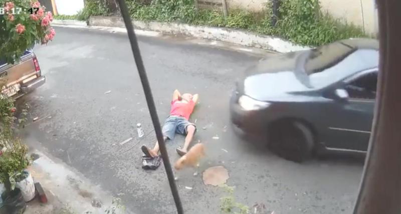  - VIDEO - Il fait sa sieste au milieu de la route, un automobiliste inattentif lui roule dessus !