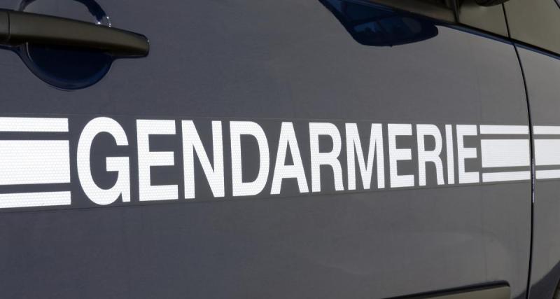  - Il “emprunte” la voiture de sa tante, le jeune homme de 14 ans termine contre une porte de garage
