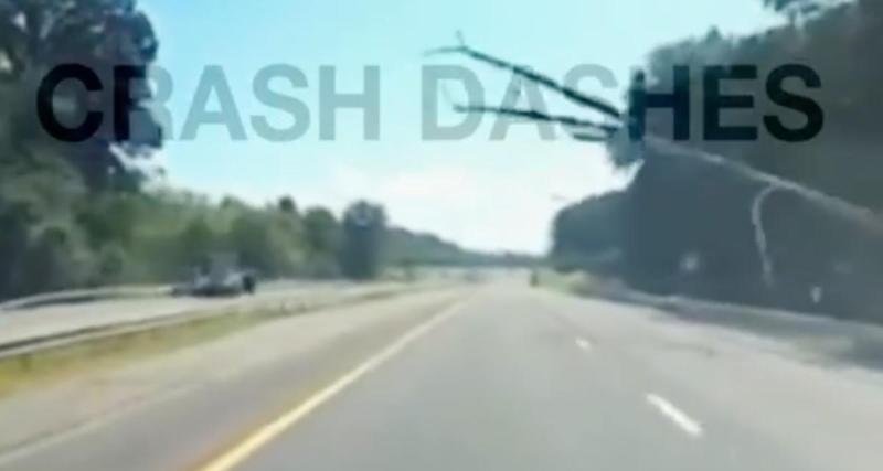 - VIDEO - Un arbre chute au milieu de l'autoroute, cet automobiliste ne peut pas l’éviter