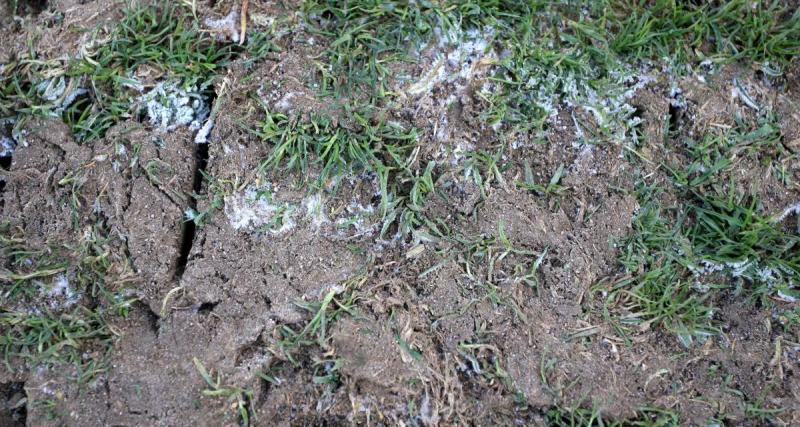  - Foot amateur : des caravanes occupent des terrains en Occitanie, près de 100 000€ de dégâts !