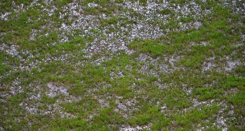  - Amical : le match entre Feignies-Aulnoye et Beauvais délocalisé