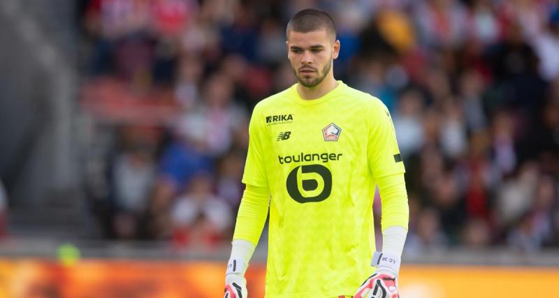  - Lille : les Dogues fixés aujourd'hui pour leur barrage de C4