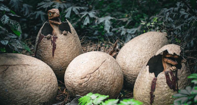  - Selon la science, les dinosaures étaient de vrais papas poules ! 