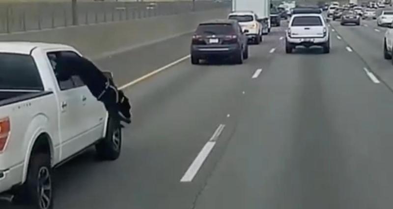  - VIDEO - Son chien saute de la voiture en plein trajet, incroyable frayeur pour cet automobiliste