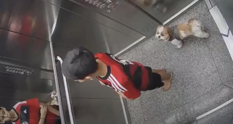  - VIDÉO. Un enfant héroïque sauve la vie d’un chien sur le point de mourir étranglé