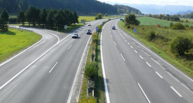  - Pour protester contre l'autoroute A 69, des militants écologistes jouent les écureuils