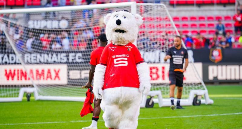  - Rennes - Nantes : scène totalement improbable, la mascotte rennaise met celle de Nantes KO 