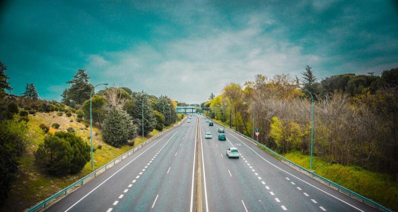  - Le défrichement d'arbres pour l'autoroute A 69 suspendu, une réunion cruciale programmée