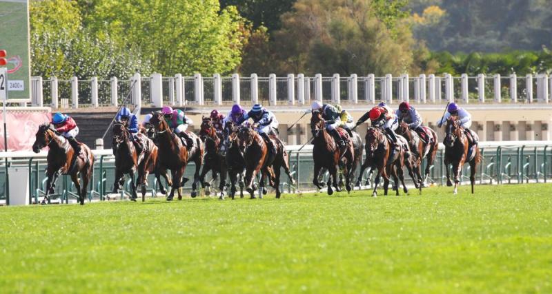  - Résultats course PMU : Dar Toungi vainqueur du Handicap de Marseille à Borely