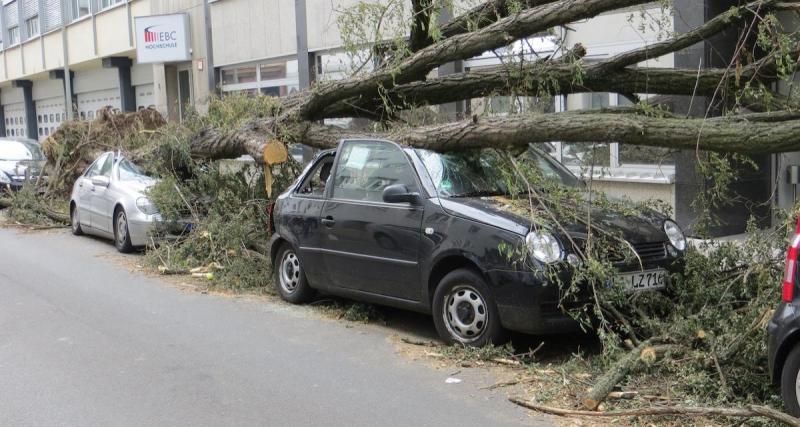  - Tempête Ciaran : la préfecture du Finistère prend une mesure radicale