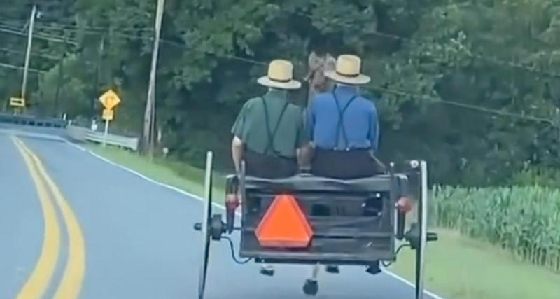  - Sortie de route mouvementée pour cette calèche et ses passagers