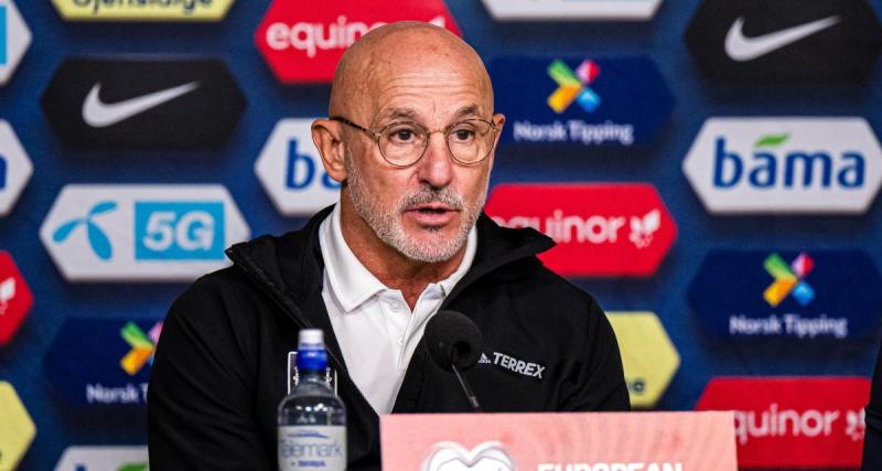  - Equipe de France : pour le sélectionneur de l'Espagne, les Bleus sont bien favoris de l'Euro