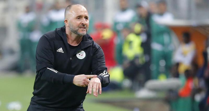  - Algérie - Somalie : Belmadi perd ses nerfs en conférence de presse et détruit la pelouse !