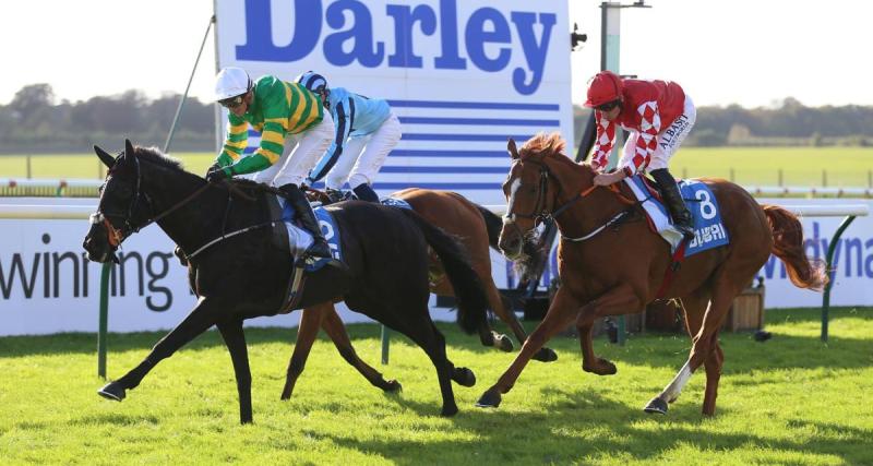  - Résultats course PMU : Give me vainqueur du Prix de Meslay du Maine à Vincennes