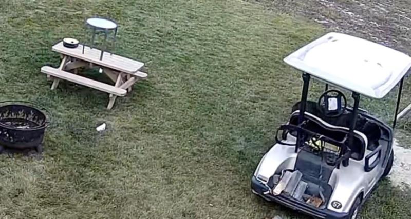  - VIDEO - Ce chien très doué (ou très maladroit) se fait la malle avec une voiturette de golf