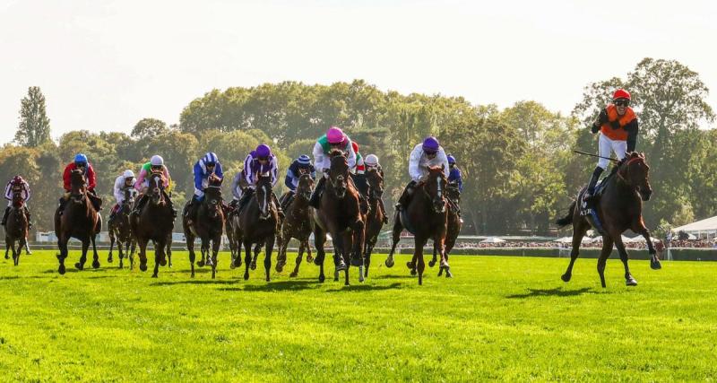  - Résultats course PMU : Principe vainqueur du Prix du Manoir de la Salamandre à Deauville