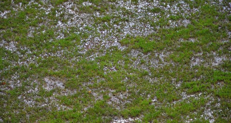  - N3 : un match annulé à la dernière minute (off)