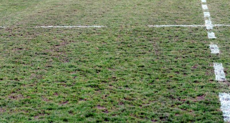  - Coupe de France : une rencontre du 8e tour menacée en raison ... de vers de terre