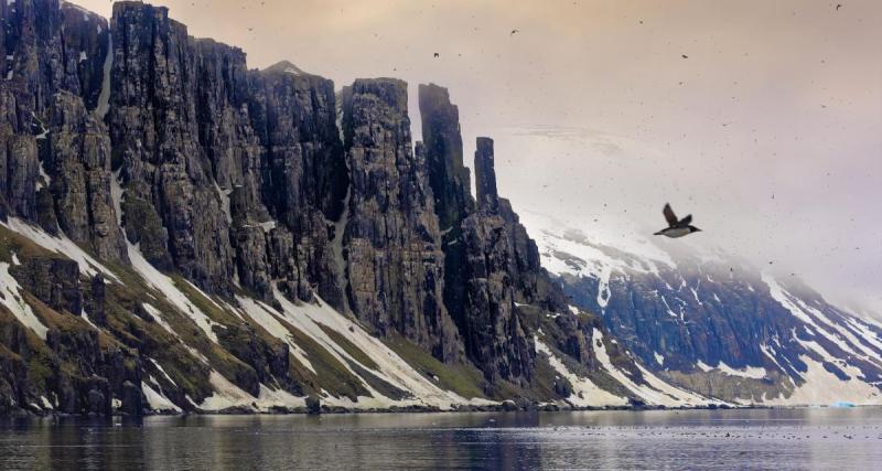  - L'extraordinaire plongeon de plus de 40m dans la glace, le record du monde en vidéo