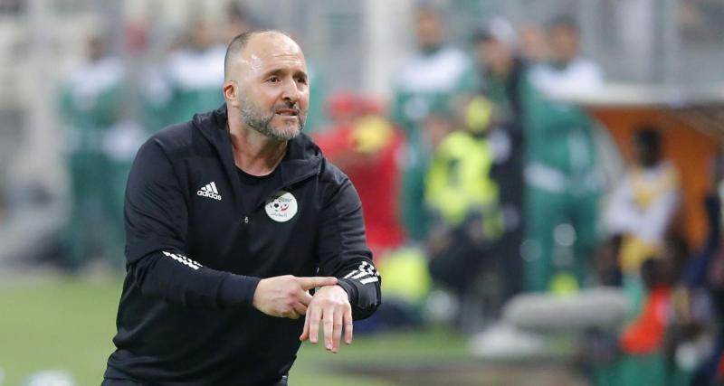  - Algérie : Belmadi face à une lourde accusation, la Fédération réagit !