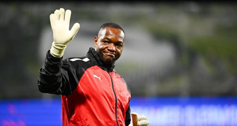  - Rennes : l'aventure de Mandanda en Bretagne loin d'être terminée ?