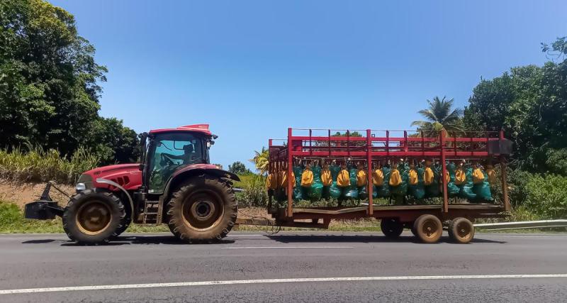  - Journée noire sur les routes toulousaines, les agriculteurs manifestent leur colère ce mardi