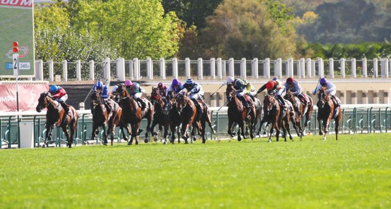  - Résultats course PMU : Numerus Borget vainqueur du Prix Equidia de Pau