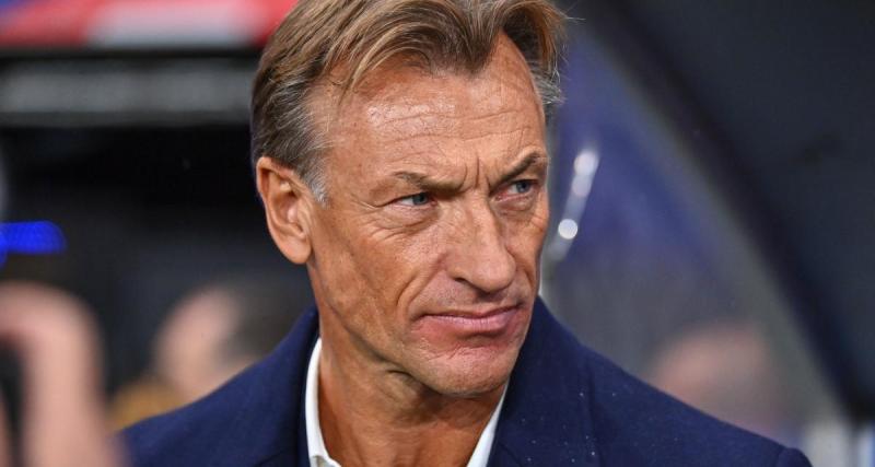  - "Je n'avais pas le droit de dire non" : Hervé Renard s'explique sur la proposition de la Côte d'Ivoire