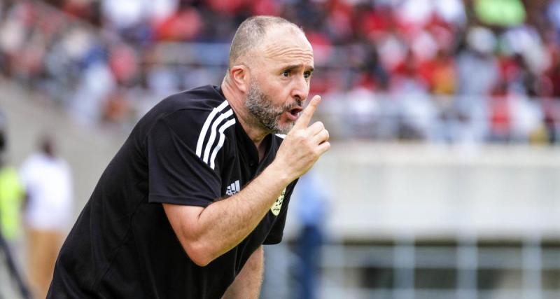  - Algérie : Belmadi refuse de signer sa rupture, la justice bientôt saisie ?