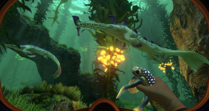  - Subnautica sera bientôt de retour avec tout un tas de nouveautés ! 