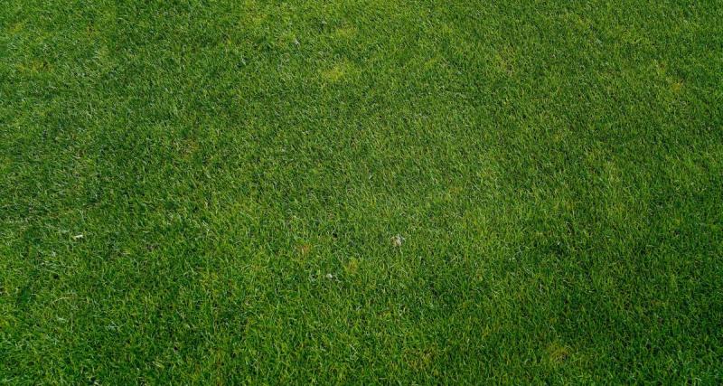  - Foot Amateur : pour contrer la sécheresse, une ville construit une réserve d’eau pour ses terrains