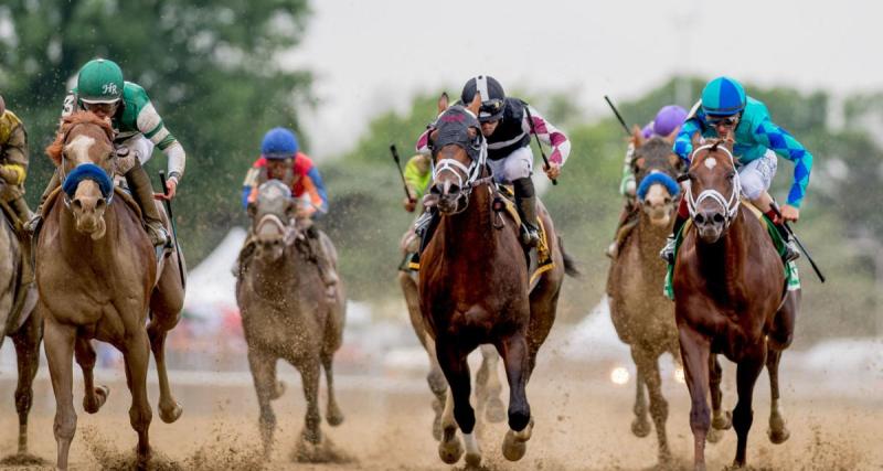  - Résultats course PMU : Hussard du Landret vainqueur du Prix de Paris - Amérique Races PMU