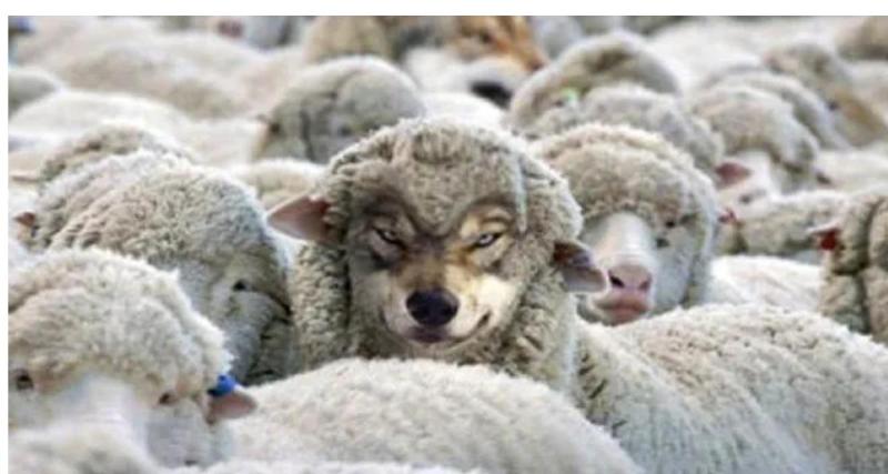  - Chery, j'ai réussi à implanter une usine en Italie ?! 