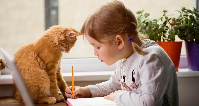  - Quel animal de compagnie choisir pour s'adapter à mon enfant