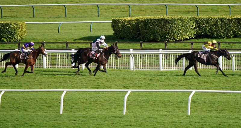  - Résultats course PMU : Hoche vainqueur du Prix Roger Ledoyen à Lisieux