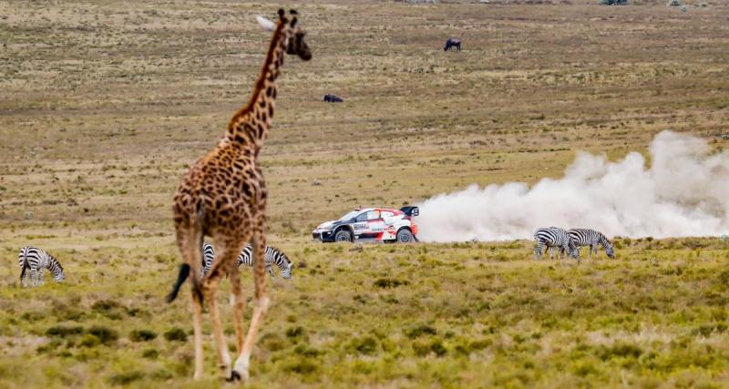  - Rallye du Kenya : le programme TV complet, chaînes et horaires des spéciales en direct