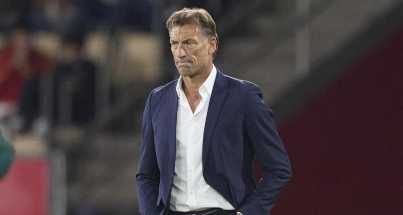  - Equipe de France (F) : la grosse annonce de Renard sur son avenir