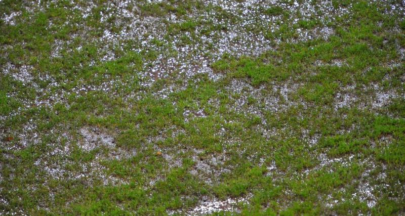  - N3 : victime d’inondation, Chauvigny perd son stade et tous ses effets