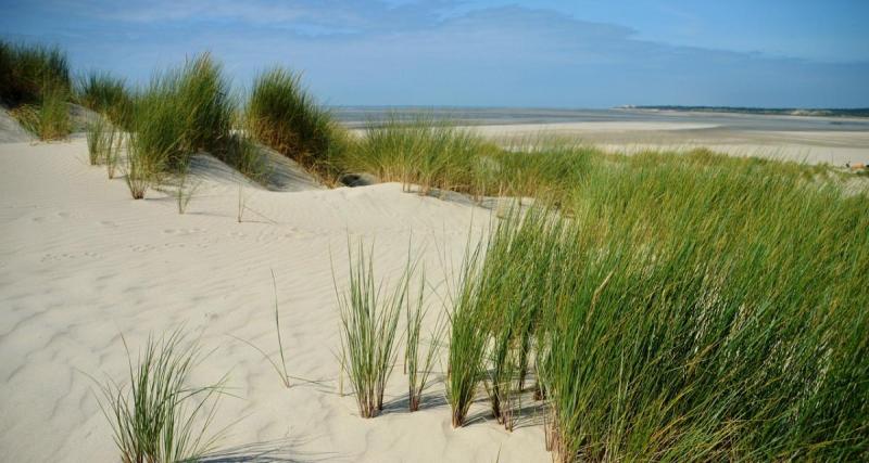  - Il emmène son Lamborghini Urus sur la plage du Touquet, la police lui met le grappin dessus